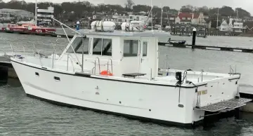 Thumbnail von Custom Catamaran